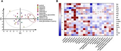 Gut microbiota-derived metabolites in inflammatory diseases based on targeted metabolomics